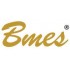 BMES